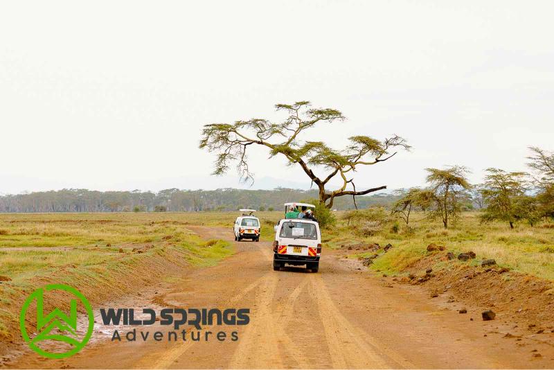 Lake Nakuru National Park Day Tour